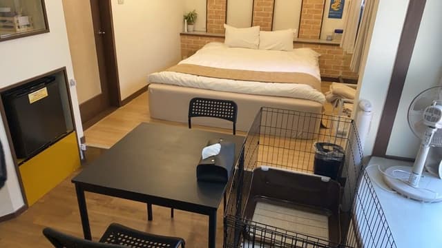 Dog Room 2