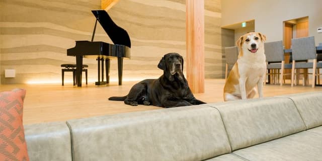 [No pets allowed] Suite A, Non Smoking