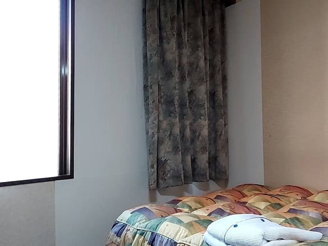 Business Single Room, 1 Twin Bed, Non Smoking, Bathtub