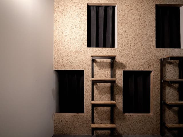 Basic Shared Dormitory, 1 Twin Bed