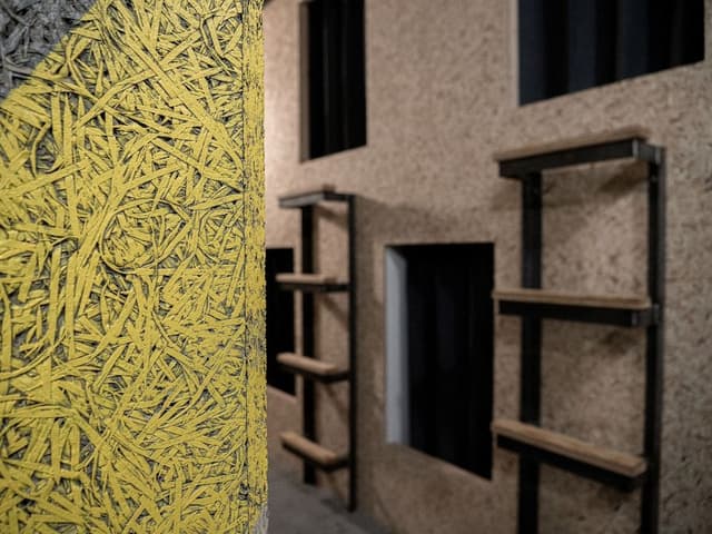 Basic Shared Dormitory, 1 Twin Bed