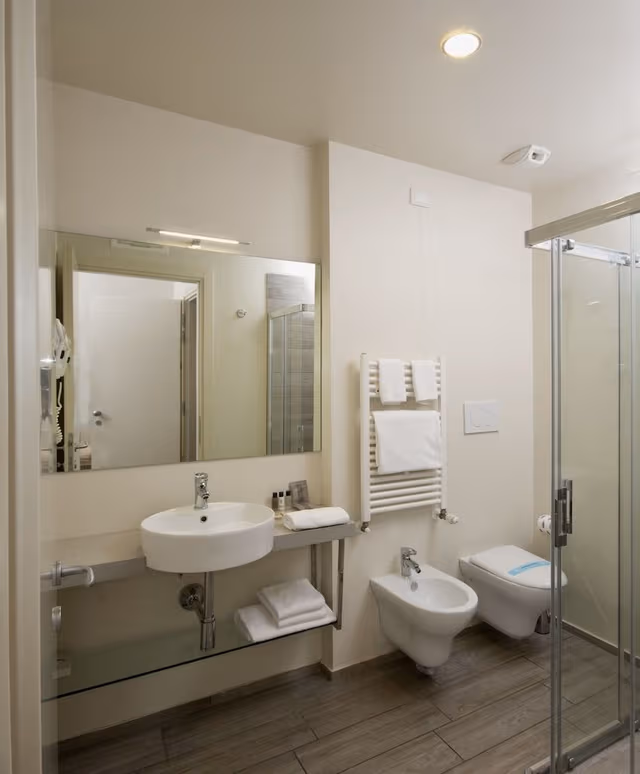 Superior Double or Twin Room