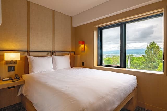 Room, 1 Queen Bed