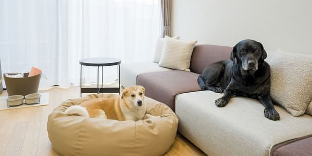 Rakuten STAY VILLA Yatsugatake 109-[Dog-friendly]Simple Modern, Non Smoking