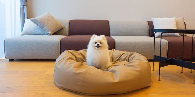 Rakuten STAY VILLA Yatsugatake 109-[Dog-friendly]Simple Modern, Non Smoking