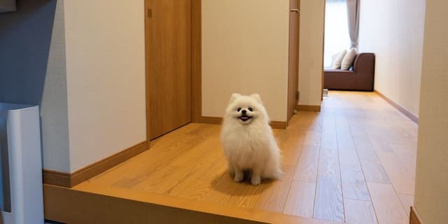 Rakuten STAY VILLA Yatsugatake 109-[Dog-friendly]Simple Modern, Non Smoking