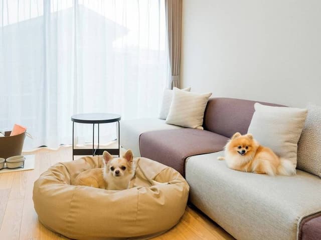 Rakuten STAY VILLA Yatsugatake 109-[Dog-friendly]Simple Modern, Non Smoking