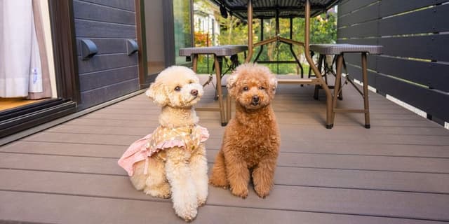 Rakuten STAY VILLA Yatsugatake 109-[Dog-friendly]Simple Modern, Non Smoking