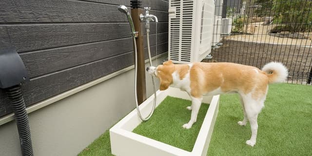 Rakuten STAY VILLA Yatsugatake 109-[Dog-friendly]Simple Modern, Non Smoking