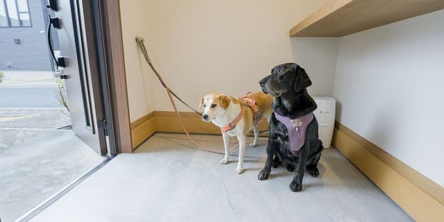 Rakuten STAY VILLA Yatsugatake 109-[Dog-friendly]Simple Modern, Non Smoking