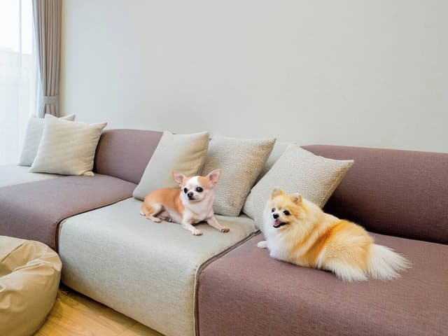 Rakuten STAY VILLA Yatsugatake 109-[Dog-friendly]Simple Modern, Non Smoking