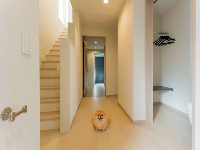 Rakuten STAY VILLA Yatsugatake 108-[Dog-friendly]Simple Modern, Non Smoking