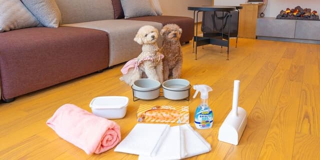 Rakuten STAY VILLA Yatsugatake 109-[Dog-friendly]Simple Modern, Non Smoking