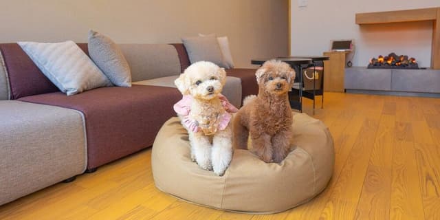 Rakuten STAY VILLA Yatsugatake 109-[Dog-friendly]Simple Modern, Non Smoking