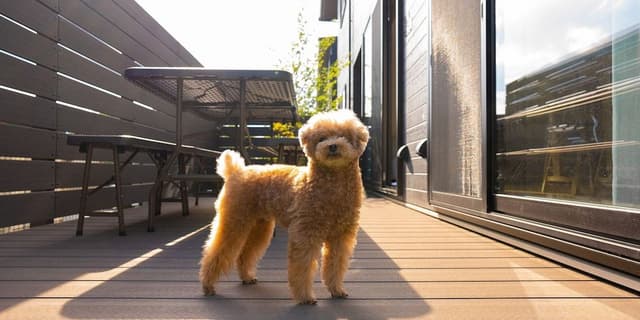 Rakuten STAY VILLA Yatsugatake 109-[Dog-friendly]Simple Modern, Non Smoking