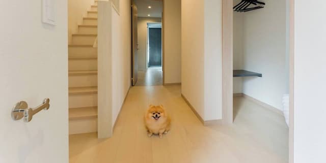 Rakuten STAY VILLA Yatsugatake 103-[Dog-friendly]Family Room, Non Smoking