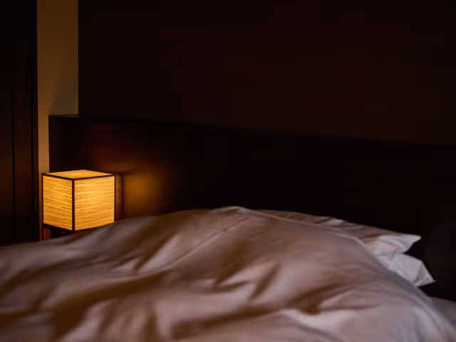 Triple Room (Modern Japanese-Style)