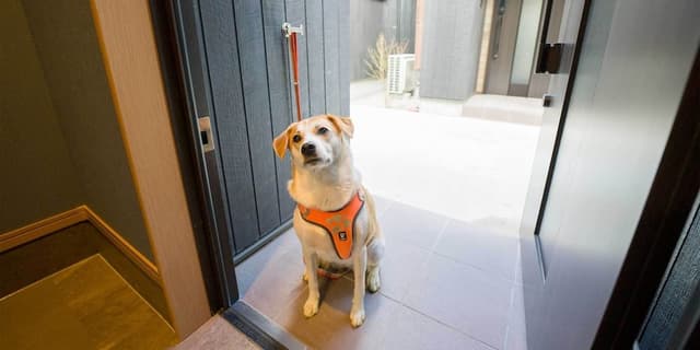 [Dog-friendly] VILLA, Non Smoking