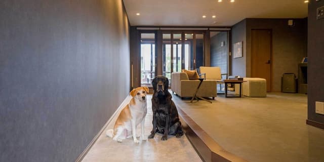 [Dog-friendly] Standard Room, Non Smoking
