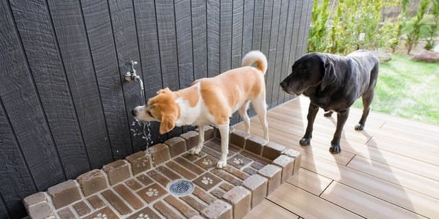[Dog-friendly] VILLA, Non Smoking