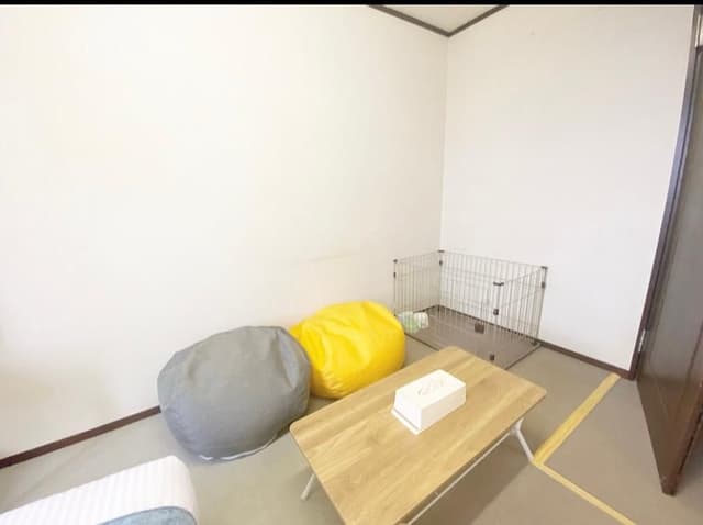 Room - Non-Smoking, Pet-Friendly