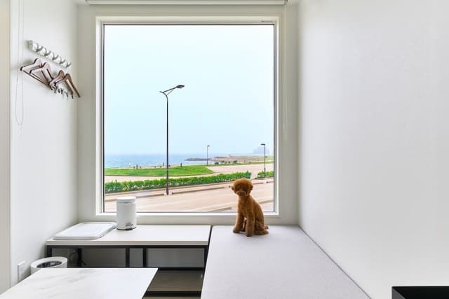 Standard Room, Ocean View
