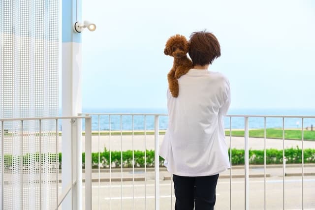 Standard Room, Ocean View