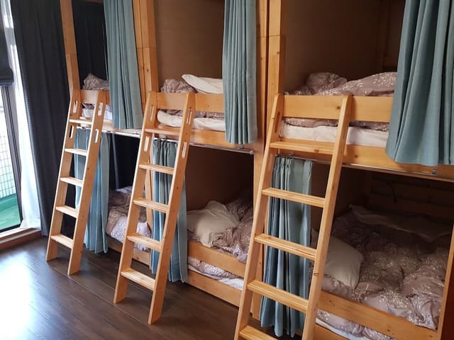 Mixed Shared Dormitory