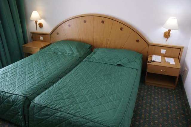 Triple Room (1 adult 2 children)