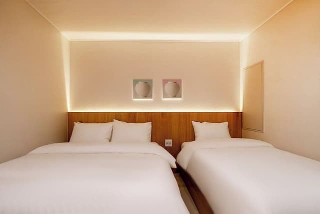 [Special Offer] Deluxe