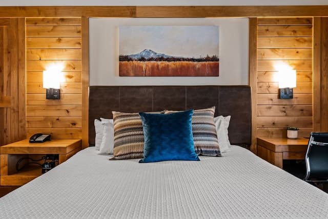 Room, 1 King Bed