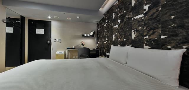 Standard Double Room (No Windows)
