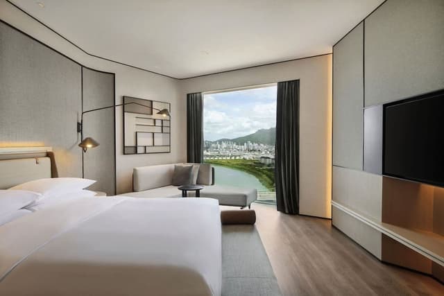 Executive Suite, 1 King Bed
