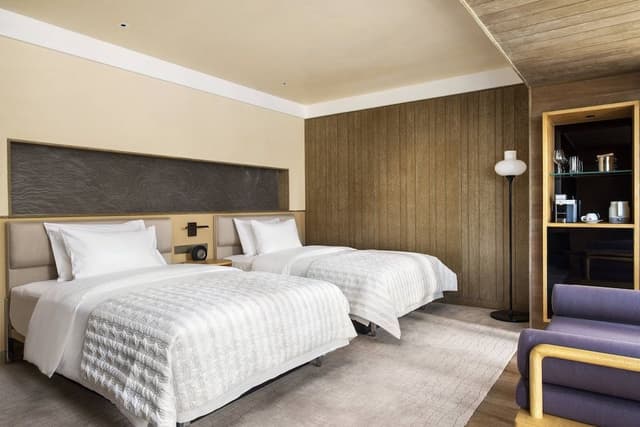 Room, 2 Twin Beds, City View