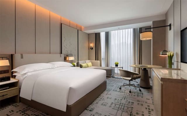 KING ACCESSIBLE ROOM