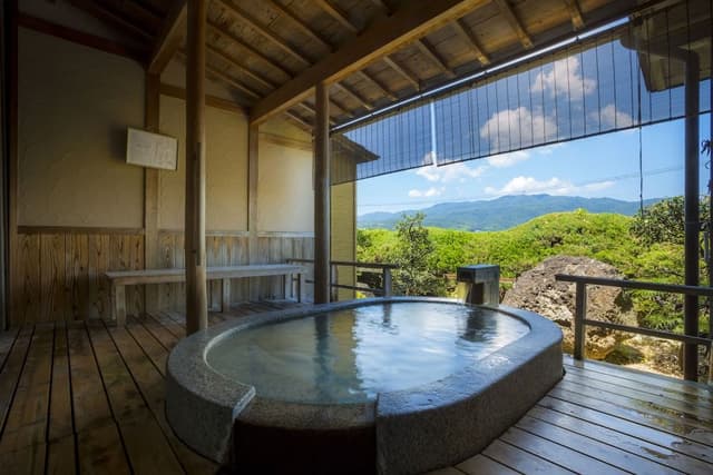 Traditional Room, Non Smoking, Bathtub (42㎡)