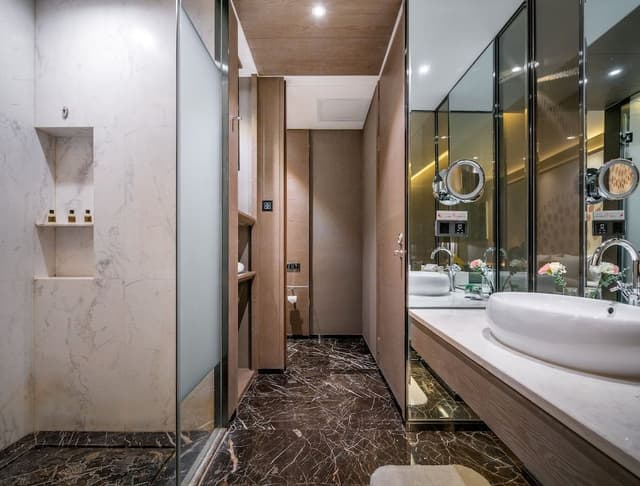 Deluxe Room (Twin)