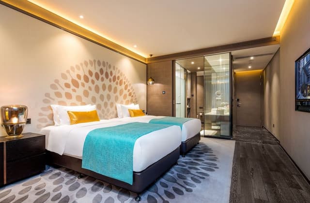 Deluxe Room (Twin)