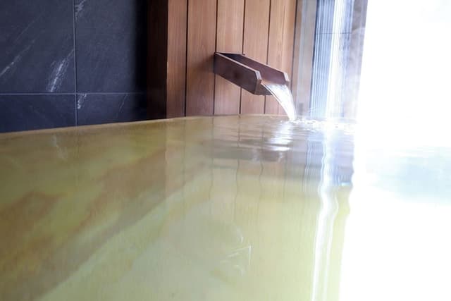 [Roshokan Japanese western style room] Twin bed with Futon & Hot spring bath