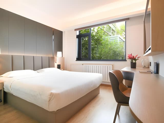 King Room