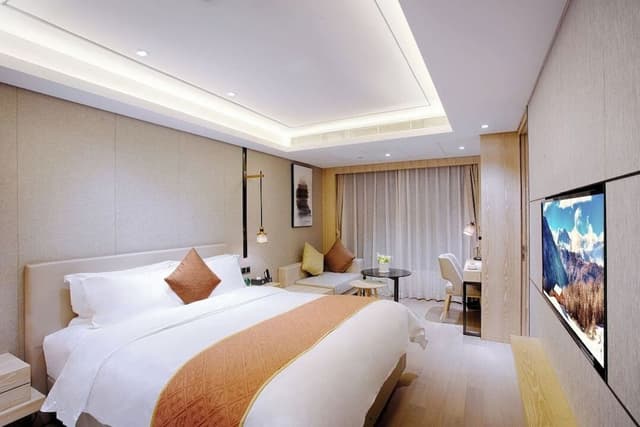 Superior Single Room