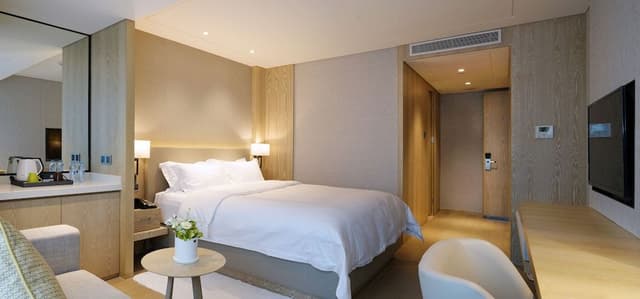 Superior Single Room
