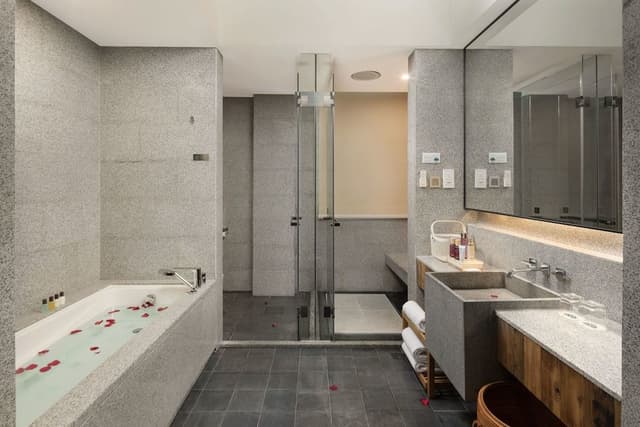 Deluxe Double Room, Smoking