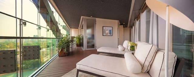 Deluxe Suite with Terrace