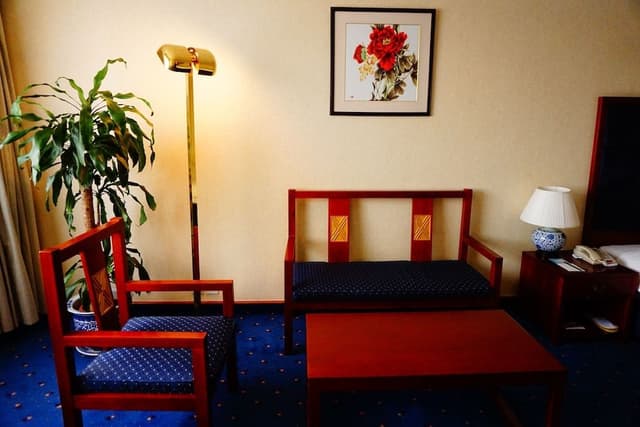 Deluxe King Room
