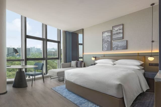 Deluxe Guest room