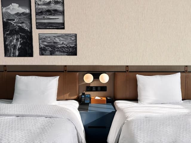 Deluxe Guest room