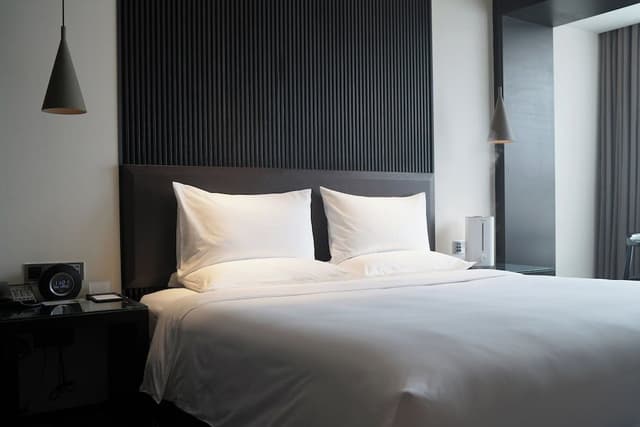 Double Room, 1 King Bed