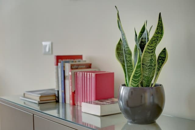 Grand Condo, 1 Bedroom
