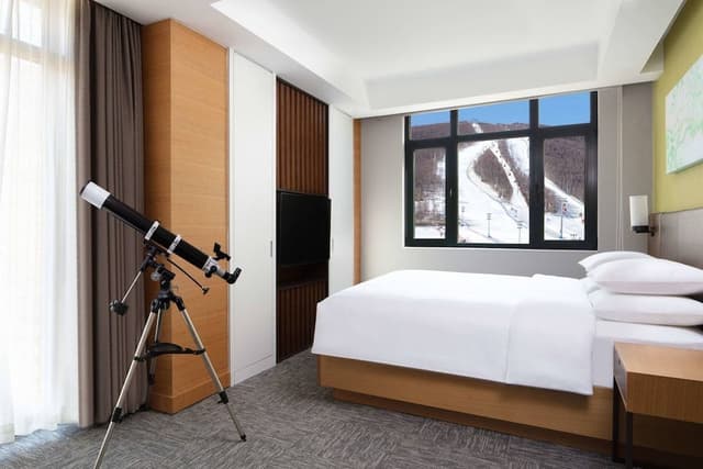 Executive Suite, 1 Bedroom